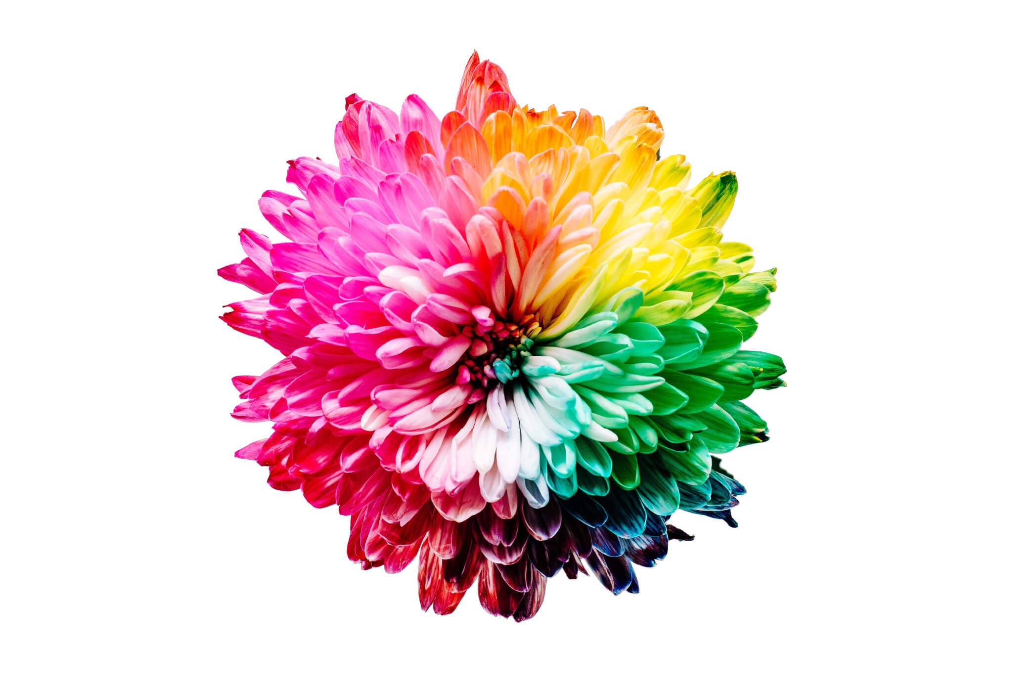 Hue Are You? Using Color Theory to Create a Brand Persona image