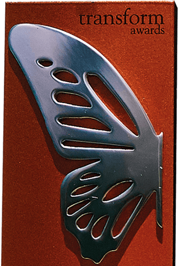 Transform Awards bronze trophy