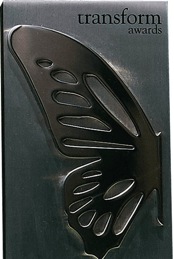 Transform Awards silver trophy