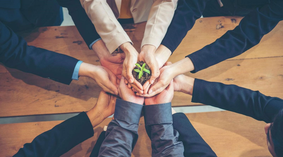 Branding and Corporate Social Responsibility: Building a Purpose-Driven Brand image